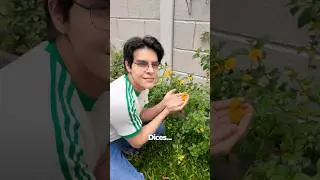 SEÑALES DE QUE TÚ ERES EL PROBLEMA 🫵