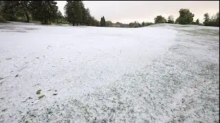 Snow
