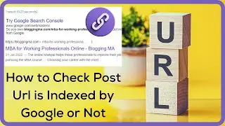 How to Check Post Url is Indexed by Google or Not