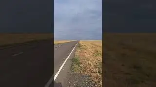 СтартШоссе Тренировка.