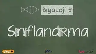 Sınıflandırma