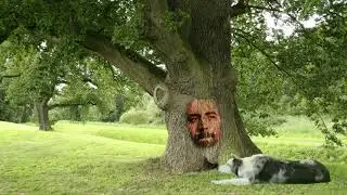 Lucky tree
