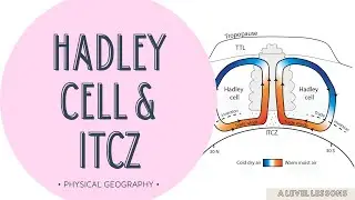 Hadley Cell, ITCZ, STHP and Trade Winds (EASY EXPLANATION) | A Level Geography (2024)