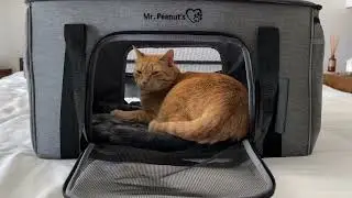 Mr Peanuts pet carrier review
