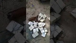 Причал/Выбивка рыбы, уровень Бог