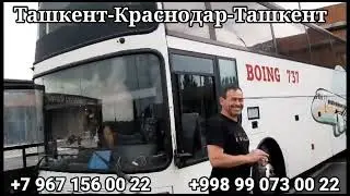 Toshkent-Krasnodar Avtobus,Krasnodar-Toshkent Avtobus,ташкент- краснодар автобус,краснодар-ташкент
