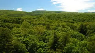 Pure Imagination Aerial 4K