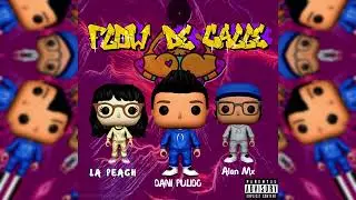 Flow De Calle- DANI PULIDO FT LA PEACH FT ALAN MX  (AUDIO OFICIAL)#perreo #tiktok #trend #reggeaton