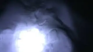 г.Архангельск,Один ночью в лесу.