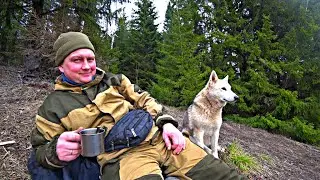 С Ритой на поиск монет 2024. Весной за монетами.