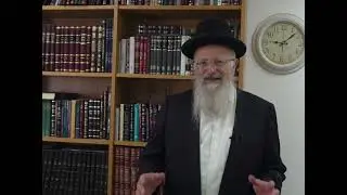 סוכה - ההגנה הטובה ביותר | הרב שמואל אליהו | הלכה יומית | י