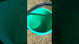 Зелёное ведро с водой на даче 28-го Апреля