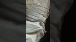кот хотел поехать куда нибудь,но вспомнил что война 😿😿😿