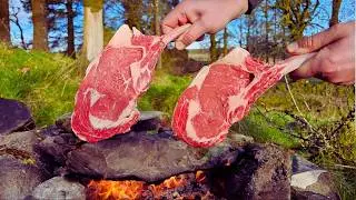 The Most Delicious STEAK Cooked in Nature! | Relaxing ASMR Cooking Compilation