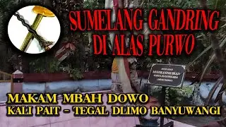 SUMELANG GANDRING DI ALAS PURWO || MAKAM MBAH DOWO KALI PAIT - TEGAL DLIMO BANYUWANGI