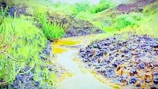 New vlog please like Karo share karo 