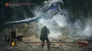 gassy dragon