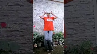 Коты и кошки!) #шафл #танцуй #танцетерапия