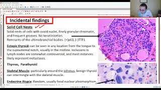H&N PATHOLOGY: THYROID (NON NEOPLASTIC)