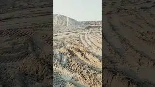 24 мая 2023 г.