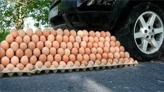 Satisfying Video ASMR Crushing Crunchy & Soft Things by Car vs Eggs  !! EXPERIMENT