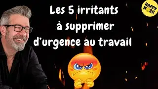 Happy Work - The 5 Irritants to Eliminate Urgently at Work - Gaël Chatelain-Berry