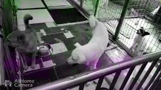 드런놈과 사느라 고생이 많은 슬기