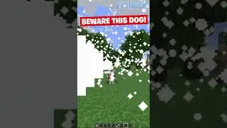 MINE CRAFT DOG VERY CUITE O MY GOD