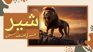 The Word Lion In Arabic Language | شیر عربی لغت میں | #research #arabiclanguage #zaibunnisa