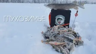 ОПЯТЬ ЭТА БЛЕСНА !!!