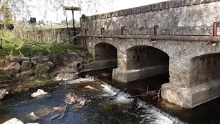 ПРОГУЛКА В ФРАНЦУЗСКОМ ЛЕСУ I COVID FRANCE I FRANCE 2021