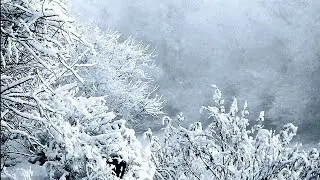 Астраханская зима / Astrakhan winter