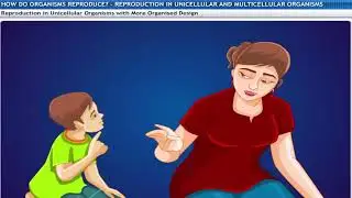 8. How Organisms Reproduce | CLASS 10 | PHYSICS | NCERT | THEORY [VISUAL]