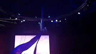 Australian Pavilion Aerial Dance - Expo 2020
