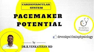 Pacemaker Potential