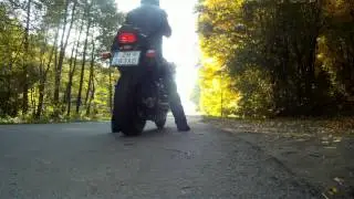 Honda CBR 1100XX BlackBird- Open Tube
