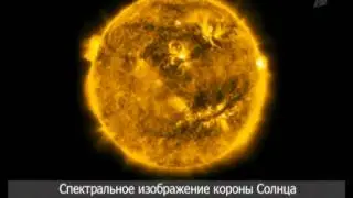 Солнце улыбалось 10.12.2010