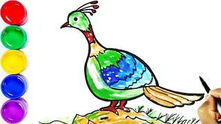 Drawing National Bird of Nepal || डाँफे || Himalayan Monal || Lophophorus || Danphe