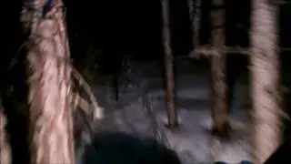 переход меду лесовозными дорогами