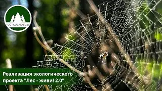Реализация экологического проекта "Лес - живи! 2.0" в 2024г.