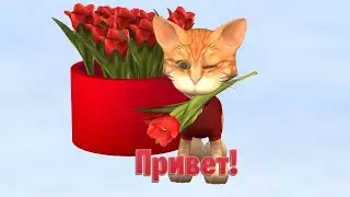 Привет Я просто узнать Как ты 
