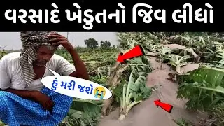 વરસાદે આ ખેડુતનો જીવ લીધો 😮 વરસાદે બધો કપાસ માં પાણી ફેરવી નાખું | જોવો આની વેદના gujarat rain