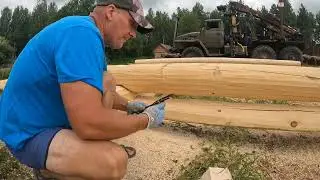 Рублю сруб в чашу, делаю пазы и анитсептирую