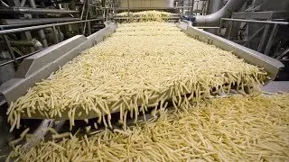 World Amazing Automatic French Fries Production Line Modern Food Processing Technology