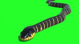 Green screen ular ~green screen~