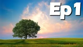 Tales From The Wild Wood: Ep 1 (Nature TV Series)