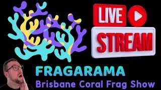 Fragarama 2024 - LIVE