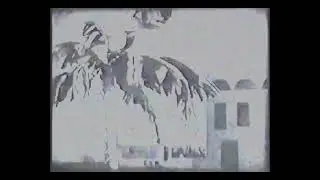 TV-ISIONS VOL. 2 