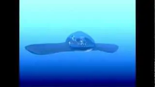 3ds max animation: The Stingray