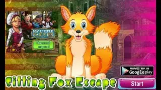 G4K Sitting Fox Escape Walkthrough [Games4King]
